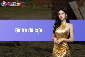 Gà tre đá cựa - Tiêu chuẩn chọn chiến kê mạnh nhất