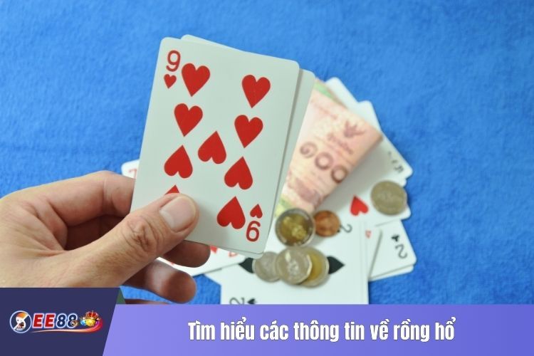 Tìm hiểu các thông tin về rồng hổ